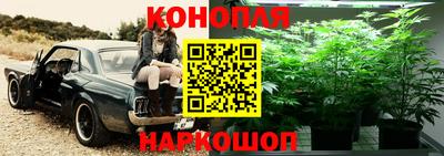 амф Лесосибирск