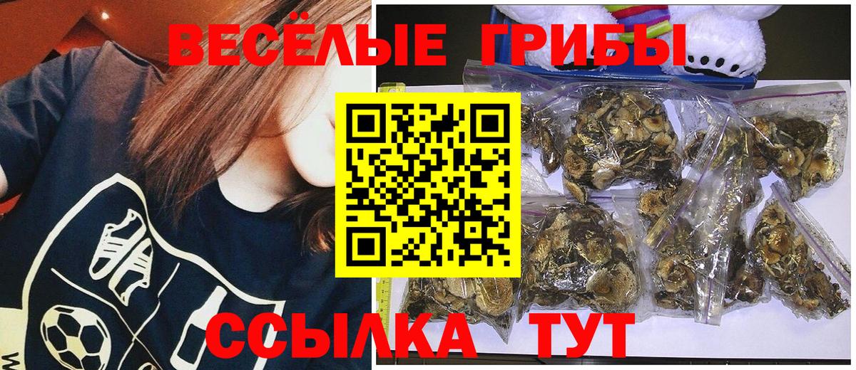 Псилоцибиновые грибы Magic Shrooms  купить  цена  Ижевск  Вход с VPN  Псилоцибиновые грибы MAGIC MUSHROOMS 